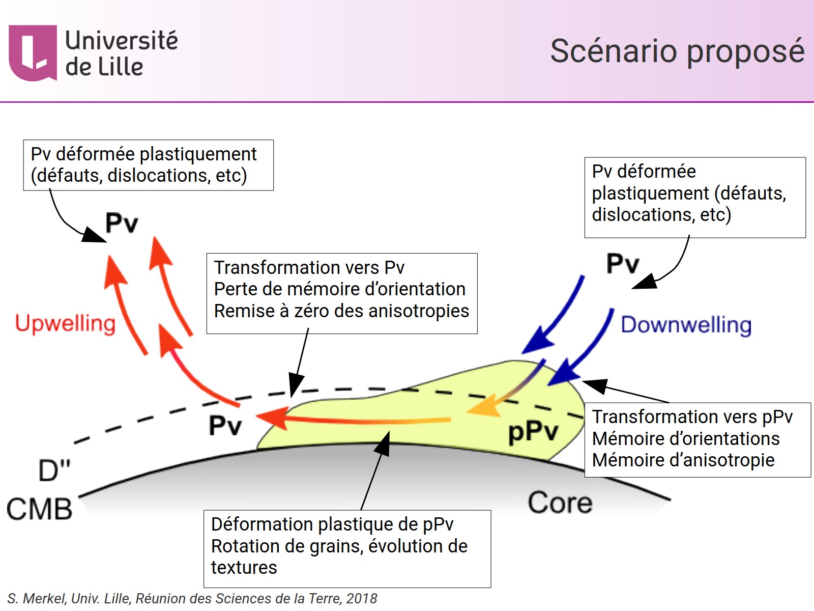 Scénario proposé